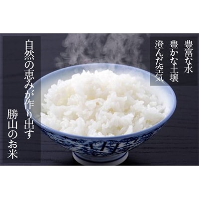 2023年3月発送開始『定期便』勝山産 コシヒカリ 10kg 精米 2ヶ月に1回 全6回