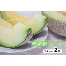 若猪野メロン1.7kg以上2玉入り