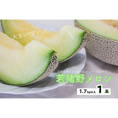 若猪野メロン1.7kg以上1玉入り