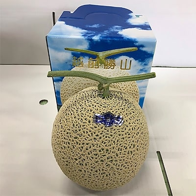 若猪野メロン1.7kg以上1玉入り