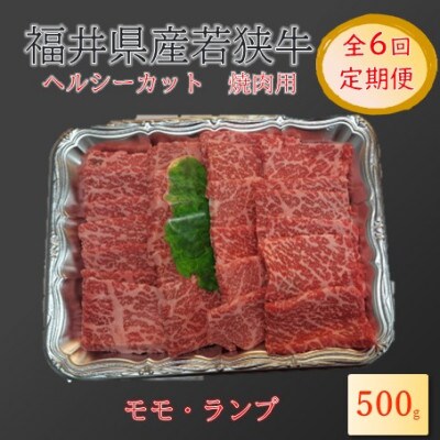 【2ヵ月毎定期便】福井県産若狭牛　ヘルシーカット焼肉用(モモ・ランプ)500g全6回