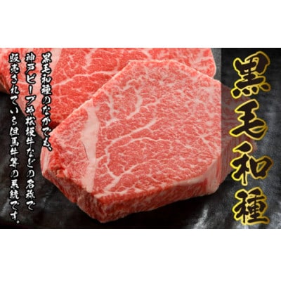 【毎月定期便】福井県産若狭牛ステーキ (ヒレ肉) 約150g×3枚セット全3回