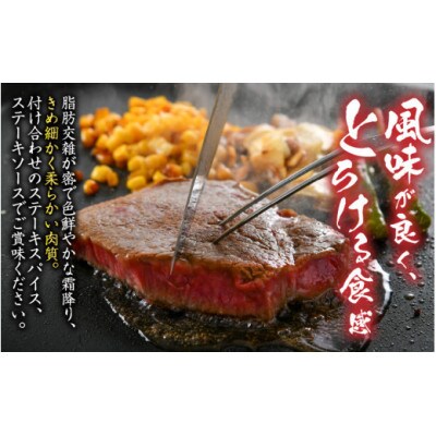 【毎月定期便】福井県産若狭牛ステーキ (ヒレ肉) 約150g×3枚セット全6回