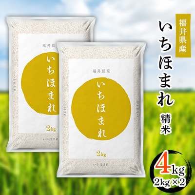【令和6年度産】福井県産　いちほまれ(2kg×2)