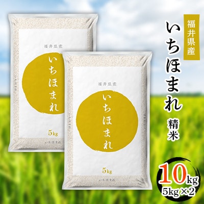 【令和6年度産】福井県産　いちほまれ(5kg×2)