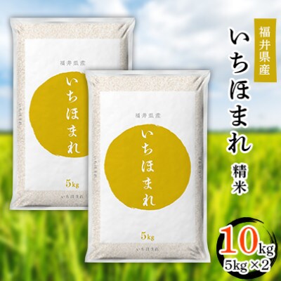 【先行受付】令和5年度福井県産いちほまれ5kg×2
