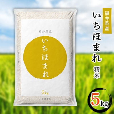 【毎月定期便】3ヶ月分 いちほまれ5kg 全3回