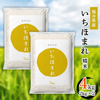 【毎月定期便】いちほまれ2kg×2全3回