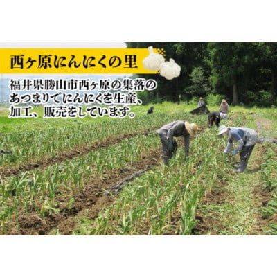 【にんにく風味のオリーブオイル】オリーブDEがり 3本セット