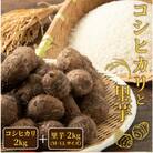 【2025年10月上旬より順次発送予定】コシヒカリ2kg・里芋2kg