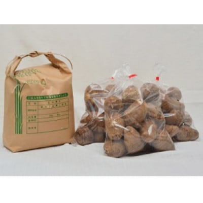 【2025年10月上旬より順次発送予定】コシヒカリ2kg・里芋2kg