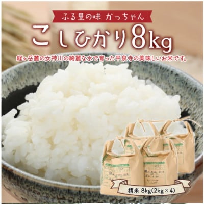 【2025年10月上旬より順次発送予定】【令和7年度産】コシヒカリ8kg(2kg×4)