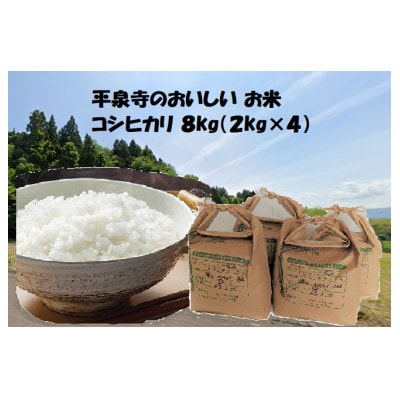 【先行予約】令和8年産 コシヒカリ8kg