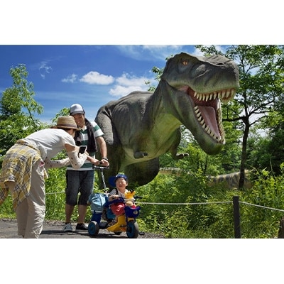実物大恐竜と巨大昆虫に会える かつやまディノパーク 巨大昆虫冒険ツアー セットペアチケット お礼品詳細 ふるさと納税なら さとふる