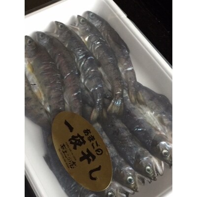 あまごの一夜干し　10尾入