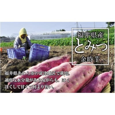 冷やし焼き芋 3本入り
