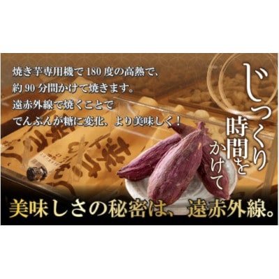 冷やし焼き芋 12本入り