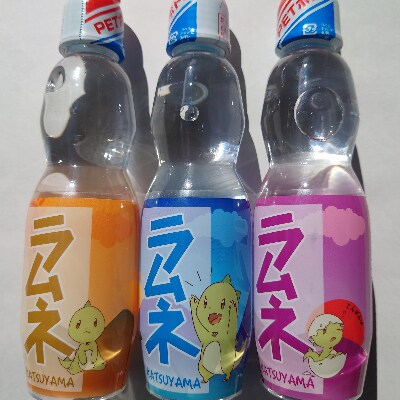 まるごとかつやま恐竜セット