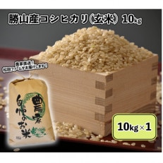 令和5年産 福井県勝山市産コシヒカリ10kg (玄米)