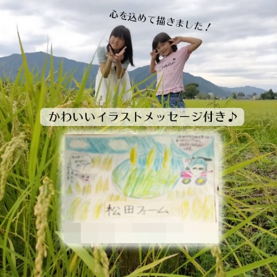 令和5年産 福井県勝山市産コシヒカリ10kg (玄米)