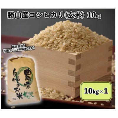 令和8年度産 福井県勝山市産 コシヒカリ 玄米 計10kg