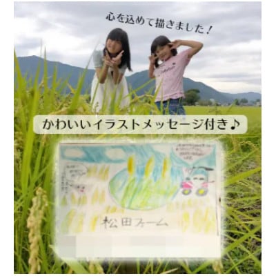 令和8年度産 福井県勝山市産 コシヒカリ 玄米 計10kg