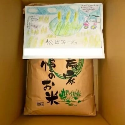 令和8年度産 福井県勝山市産 コシヒカリ 玄米 計10kg