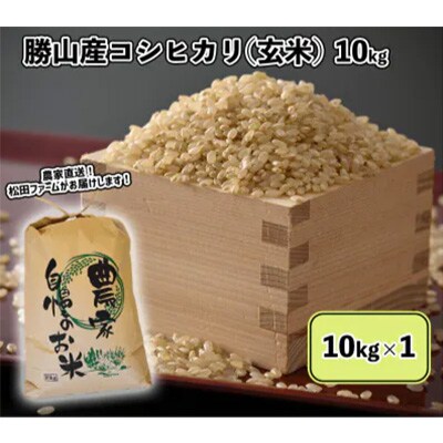2024年1月発送開始『定期便』福井県勝山市産コシヒカリ10kg (玄米)定期便全3回