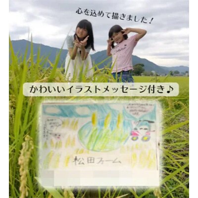 2024年1月発送開始『定期便』福井県勝山市産コシヒカリ10kg (玄米)定期便全3回