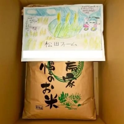 2024年1月発送開始『定期便』福井県勝山市産コシヒカリ10kg (玄米)定期便全3回