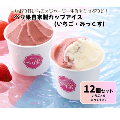 べり果自家製カップアイスいちご・みっくす2種セット(12個入り)