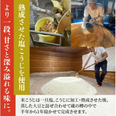 奥越・勝山 創業明治7年 吾田醸造場の塩こうじ造りみそ「いっぺん食べてみそ」 750g×3袋