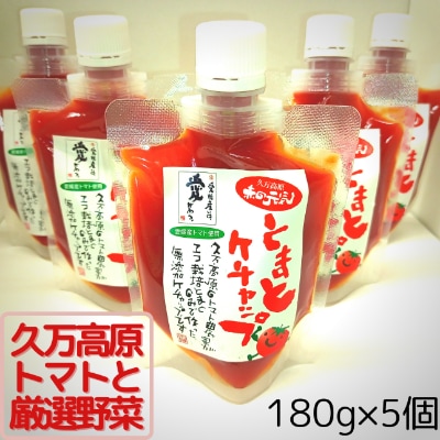 赤の元気「トマトケチャップ」5個セット
