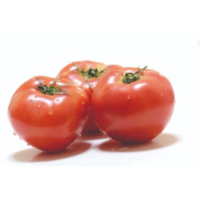 赤の元気「トマトケチャップ」5個セット