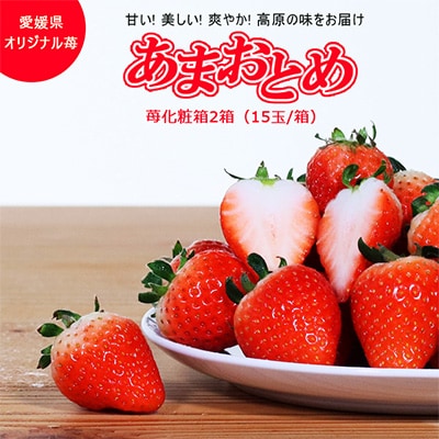 【数量限定】　愛媛県オリジナル苺「あまおとめ」(久万高原町産)　イチゴ化粧箱2箱