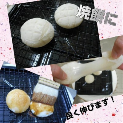 【丸餅】16個　もち米100%使用。お料理の主役にも引き立て役にもなる自慢のお餅です!