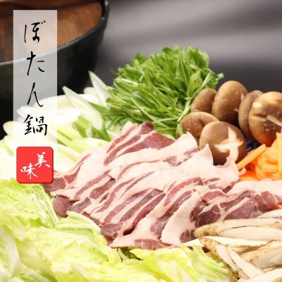 話題のジビエ料理をご家庭でも!猟師が自ら獲って捌いたこだわりのイノシシ肉。部位別食べ比べセット