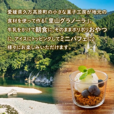 深煎りコーヒーとチョコレートのグラノーラ&自家製伊予柑ピールとチョコレートのグラノーラセット