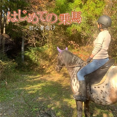 四国 久万高原町での初心者向け体験乗馬 1回券