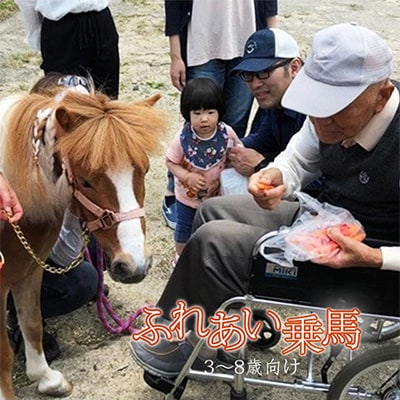 四国 久万高原町 3歳 8歳限定 ミニチュアホースふれあい乗馬体験 1回券 お礼品詳細 ふるさと納税なら さとふる