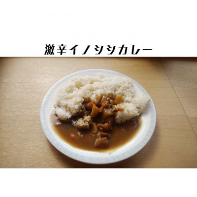 【激辛イノシシカレー3箱+激あまりんごカレー3箱】刺激的なカレーの共演!道の駅で人気のお土産です。