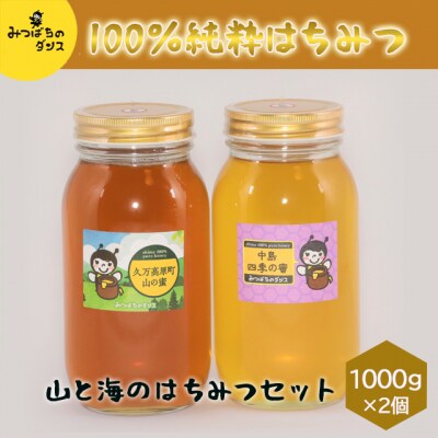 みつばちのダンス「山と海のはちみつセット(1000g×2個)」