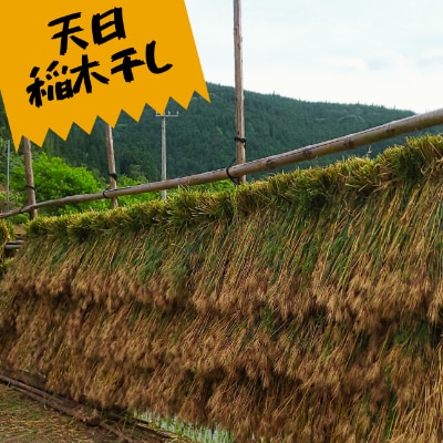 【仕七川育ちのもち麦　700g】清流と綺麗な土が育て、イナキ干しで仕上げた美味しいもち麦