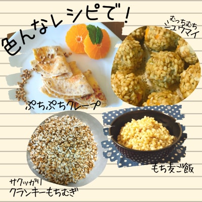 【仕七川育ちのもち麦　700g】清流と綺麗な土が育て、イナキ干しで仕上げた美味しいもち麦