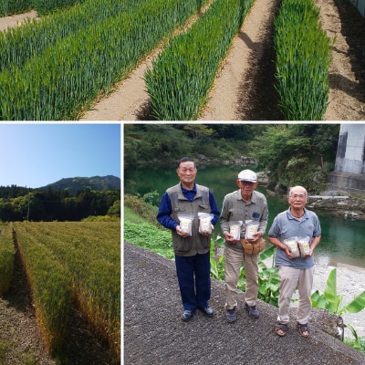 【仕七川育ちのもち麦　700g】清流と綺麗な土が育て、イナキ干しで仕上げた美味しいもち麦