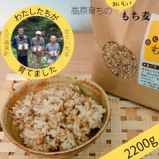 【仕七川育ちのもち麦　2200g】清流と綺麗な土が育て、イナキ干しで仕上げた美味しいもち麦