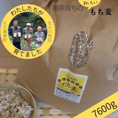 【仕七川育ちのもち麦 7600g】清流と綺麗な土が育て、イナキ干しで仕上げた美味しいもち麦
