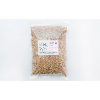 久万高原町 仕七川自慢 もち麦 1kg