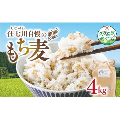 久万高原町 仕七川自慢 もち麦 4kg