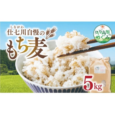 久万高原町 仕七川自慢 もち麦 5kg